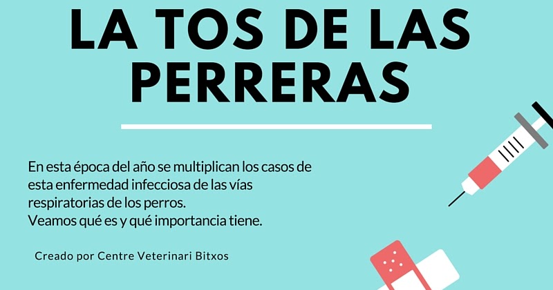 Los análisis para la definición los parásitos en el organismo